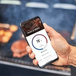 Barbecue à Pellets SmokeFire EX6 GBS 40 Barbecue à Pellets SmokeFire EX6 GBS -Weber Soldes Magasin WC App SmokeFire Brisket C 1 1800x1800 1